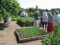 Exploring the Medieval section of the Yalding Organic Garden.